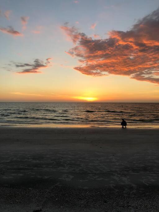 Amazing Water Front View Home Newly Renovated 3Bd 2Bth Clearwater Beach Exterior photo